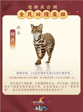 寂静传说天龙八部私服